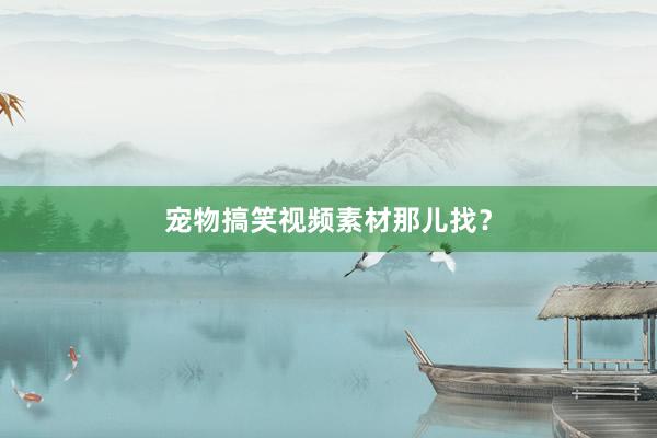 宠物搞笑视频素材那儿找？