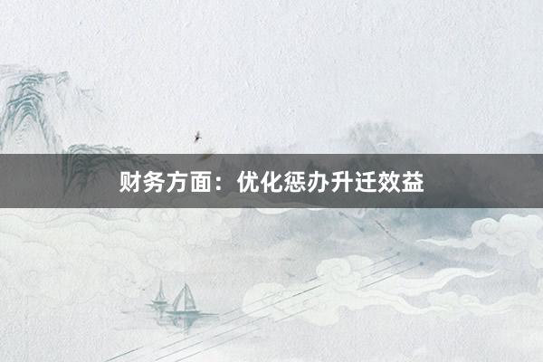 财务方面:优化惩办升迁效益