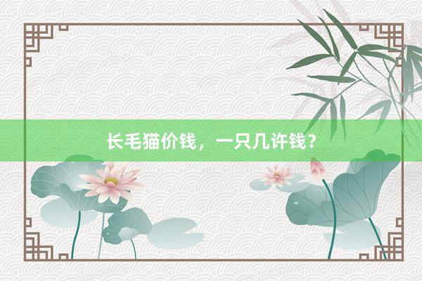长毛猫价钱，一只几许钱？